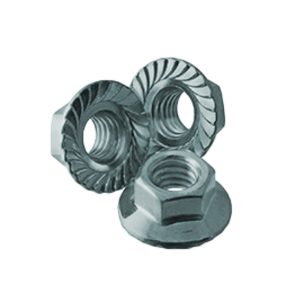 Flange Nuts